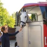 Ifor Williams – Hbx 506 – 2 Places – Neuf